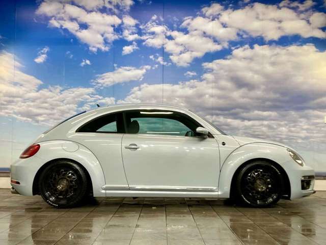 VOLKSWAGEN VOLKSWAGEN The BEETLE 2018