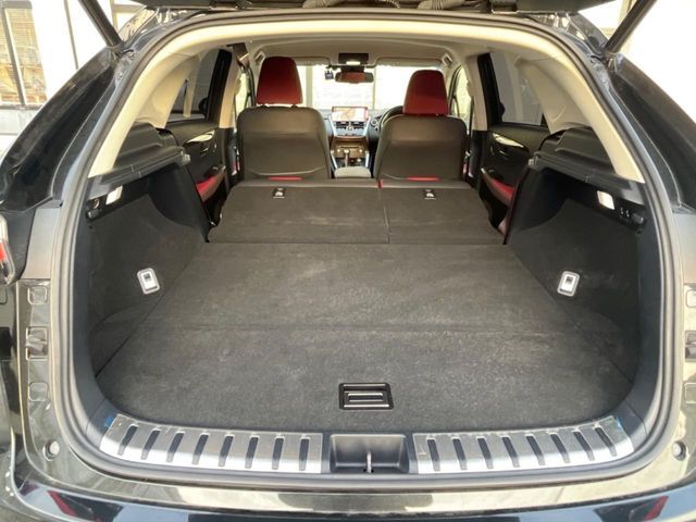 TOYOTA LEXUS NX300h 2018