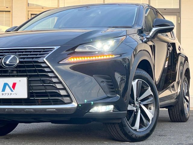 TOYOTA LEXUS NX300h 2018