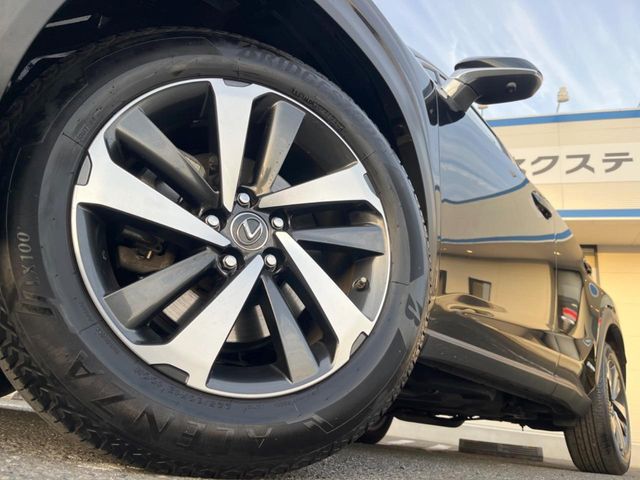 TOYOTA LEXUS NX300h 2018