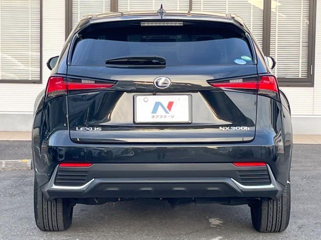 TOYOTA LEXUS NX300h 2018