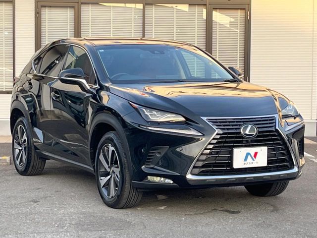 TOYOTA LEXUS NX300h 2018