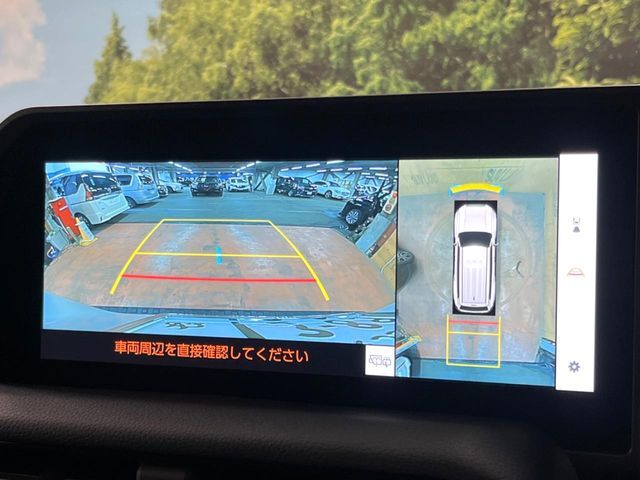 TOYOTA LANDCRUISER 250 2024