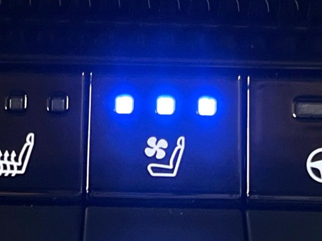 TOYOTA LANDCRUISER 250 2024