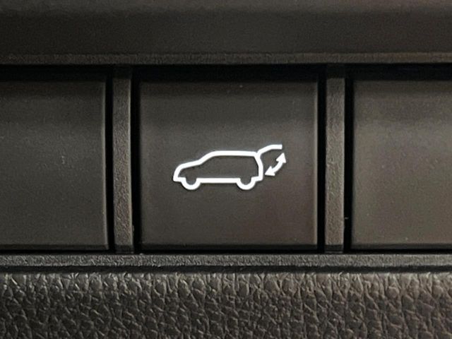 TOYOTA LANDCRUISER 250 2024