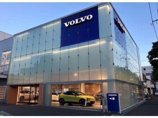 VOLVO VOLVO EX30 2024