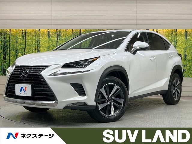 TOYOTA LEXUS NX300 2020