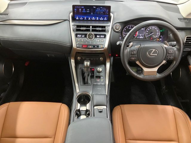 TOYOTA LEXUS NX300 2020