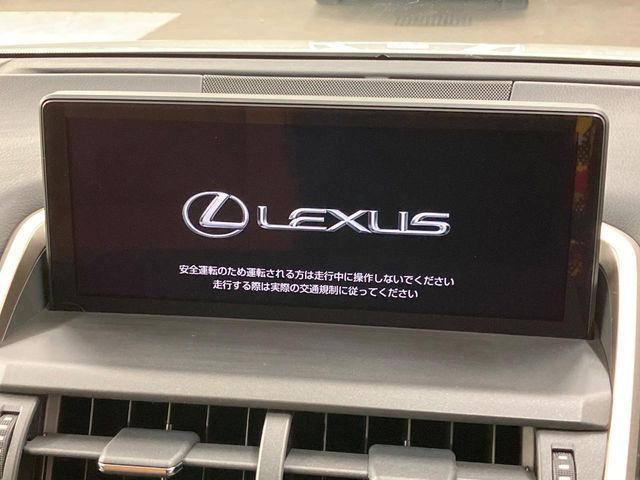 TOYOTA LEXUS NX300 2020