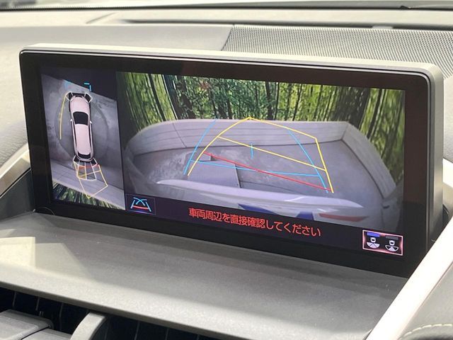 TOYOTA LEXUS NX300 2020