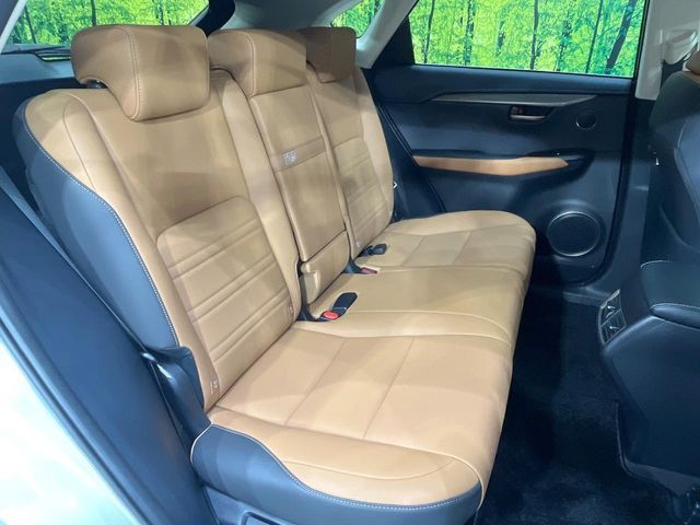 TOYOTA LEXUS NX300 2020