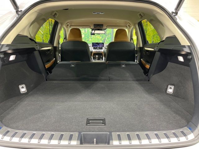 TOYOTA LEXUS NX300 2020