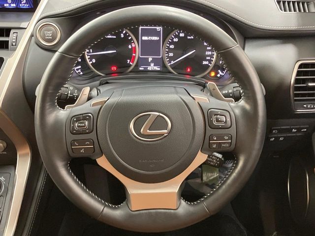 TOYOTA LEXUS NX300 2020