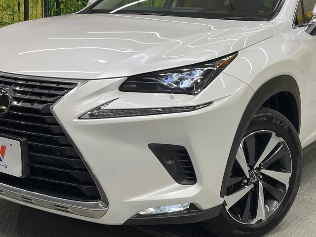 TOYOTA LEXUS NX300 2020