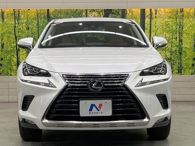TOYOTA LEXUS NX300 2020