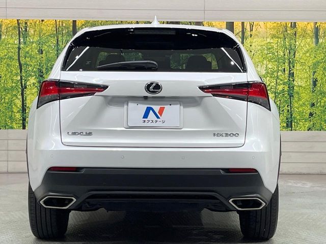 TOYOTA LEXUS NX300 2020