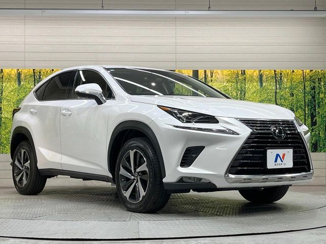 TOYOTA LEXUS NX300 2020