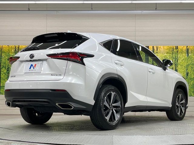 TOYOTA LEXUS NX300 2020