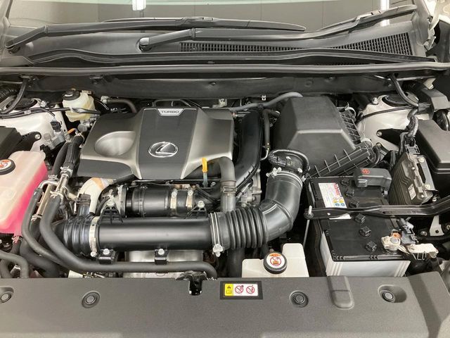 TOYOTA LEXUS NX300 2020