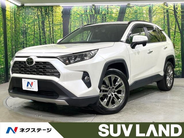 TOYOTA RAV4 4WD 2019