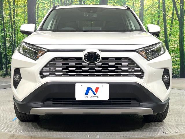 TOYOTA RAV4 4WD 2019