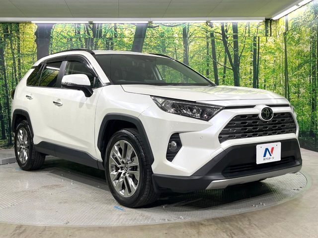TOYOTA RAV4 4WD 2019