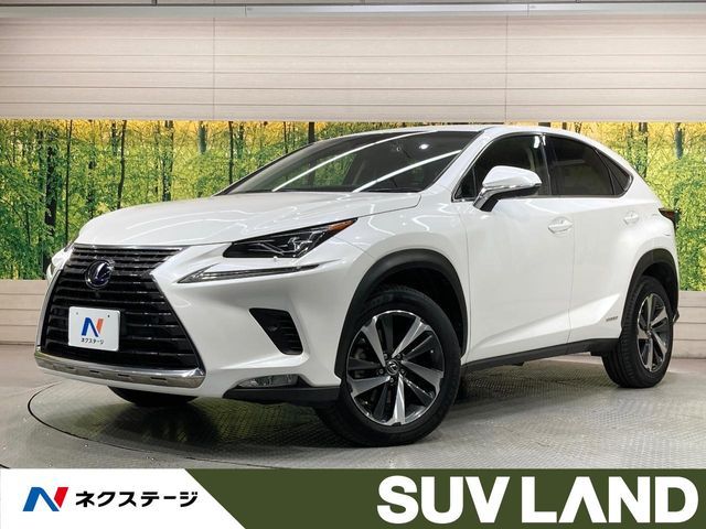 TOYOTA LEXUS NX300h 2018