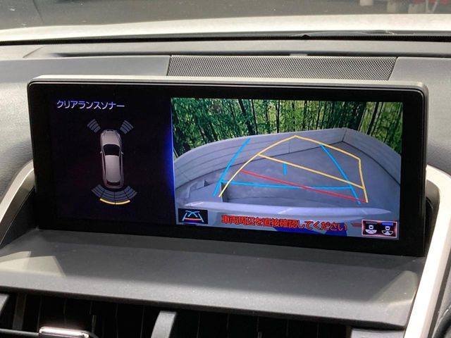 TOYOTA LEXUS NX300h 2018