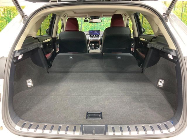 TOYOTA LEXUS NX300h 2018