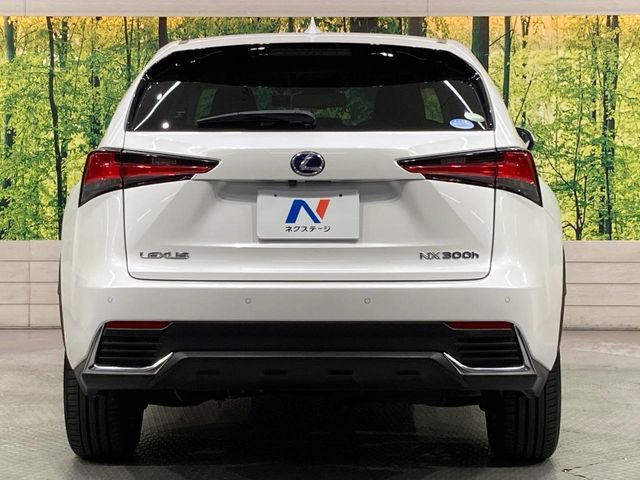 TOYOTA LEXUS NX300h 2018