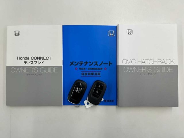 HONDA CIVIC hatchback 2024