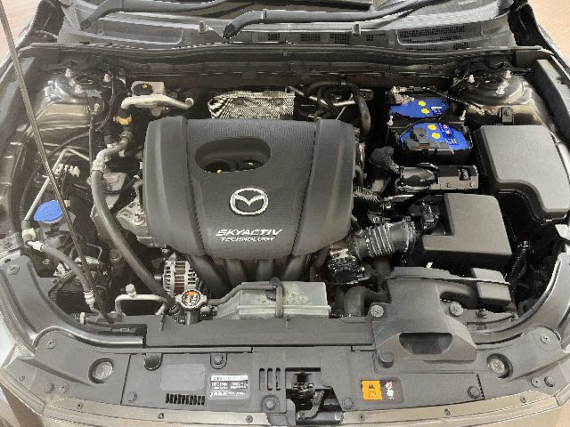 MAZDA AXELA SPORTS 2019