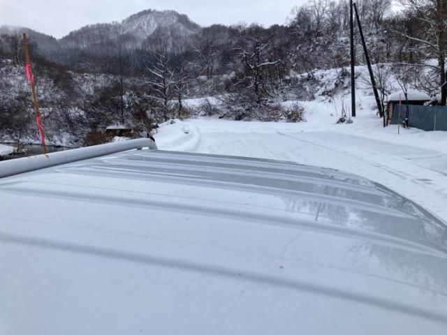 SUBARU SAMBAR truck 4WD 2011