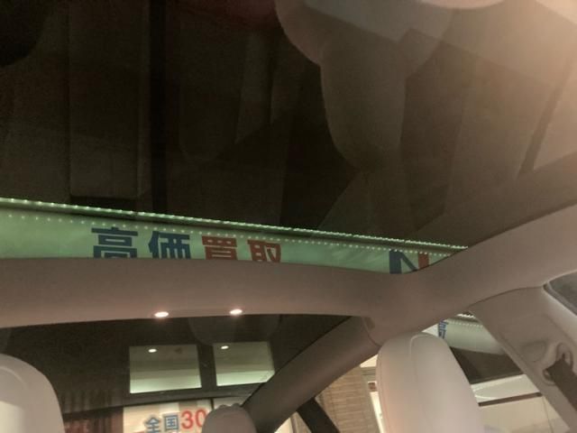 TESLA TESLA MODEL 3 2021