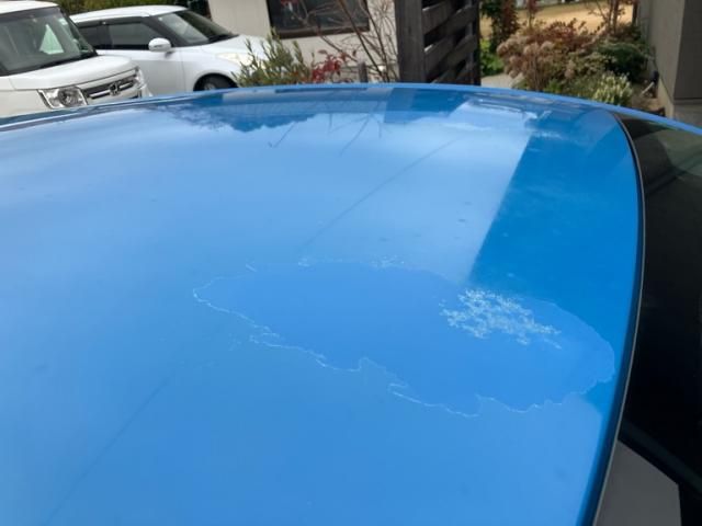 RENAULT RENAULT LUTECIA 2015