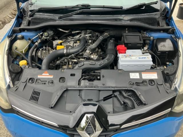 RENAULT RENAULT LUTECIA 2015