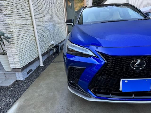 TOYOTA LEXUS NX350h 2023