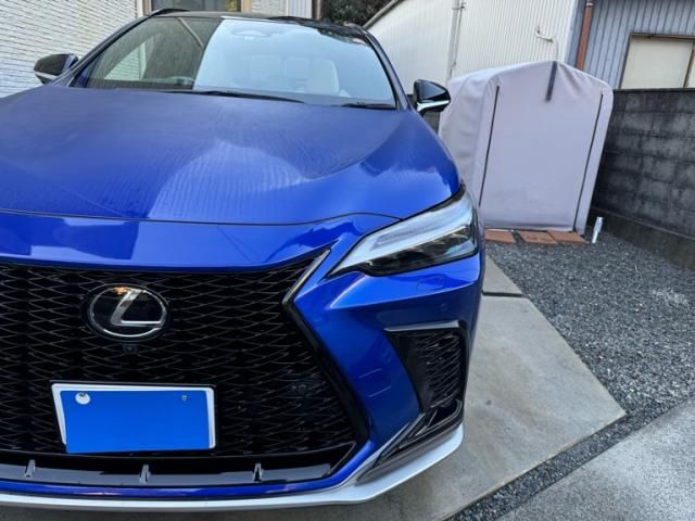 TOYOTA LEXUS NX350h 2023