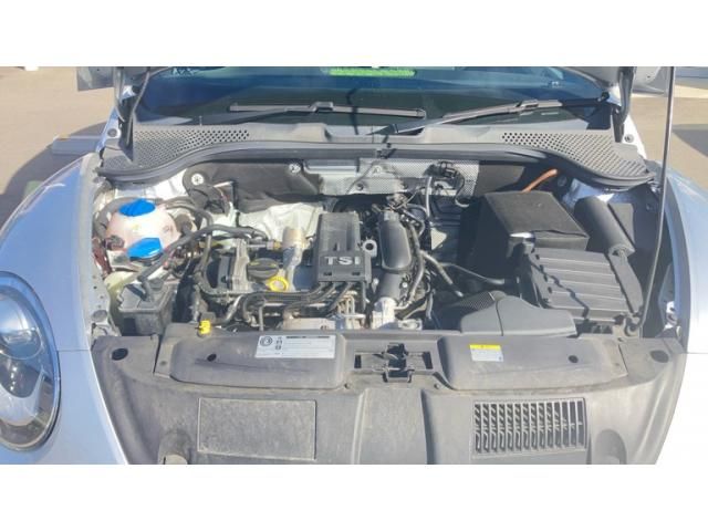 VOLKSWAGEN VOLKSWAGEN The BEETLE 2014