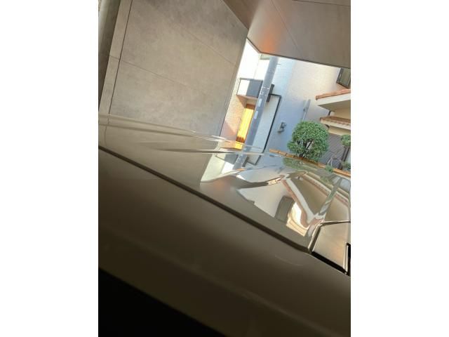 TOYOTA ESQUIRE HYBRID 2019