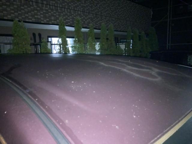 NISSAN SERENA  WG 2006