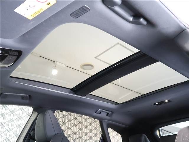 TOYOTA LEXUS RX500h 2023