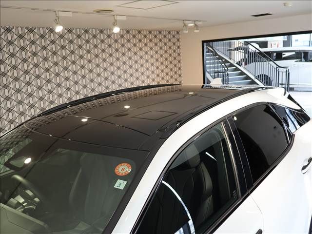 TOYOTA LEXUS RX500h 2023