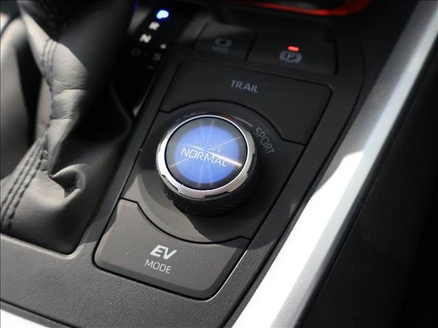 TOYOTA RAV4 HYBRID 4WD 2024