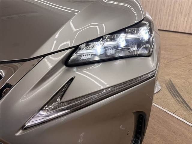TOYOTA LEXUS NX300h 2014
