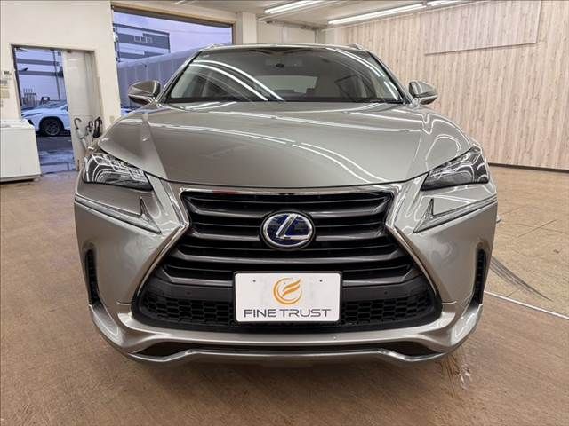 TOYOTA LEXUS NX300h 2014
