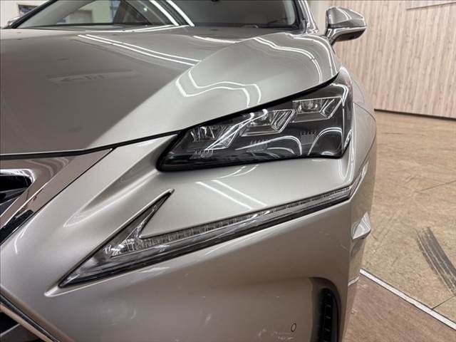 TOYOTA LEXUS NX300h 2014