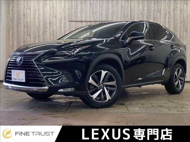 TOYOTA LEXUS NX300 2018