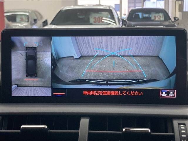 TOYOTA LEXUS NX300 2018