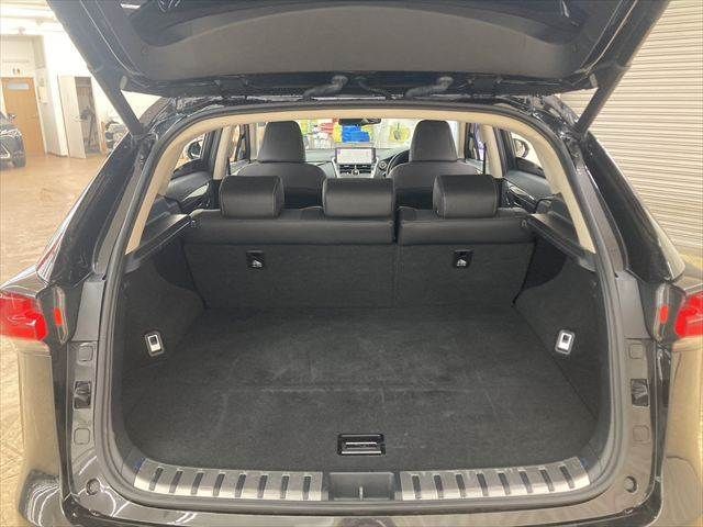 TOYOTA LEXUS NX300 2018